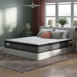 SomosBeds Bloomquist Plush Eurotop Mattress