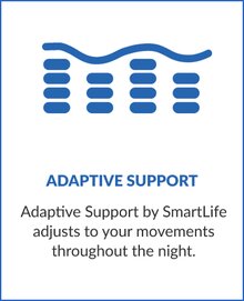 Adaptive Support