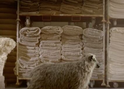 Sealy mattresses