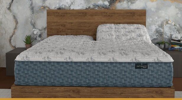 Sealy Ease Power Base