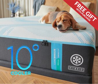 Tempur-pedic

