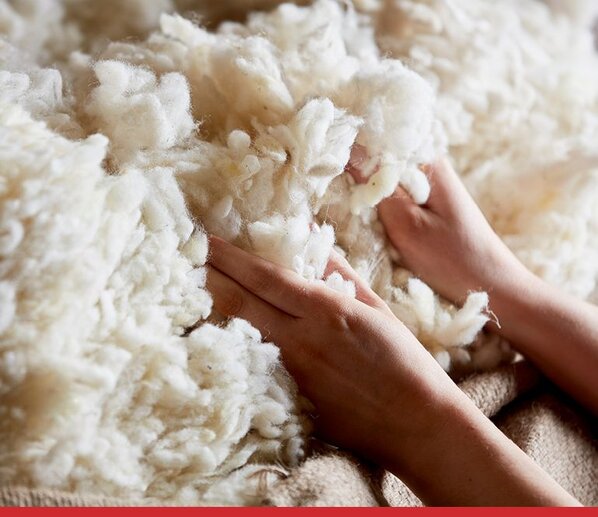 soft materials