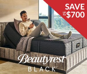 Shop Beautyrest Black