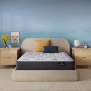 Serta Perfect Sleeper® Clarksburg Plush Mattress