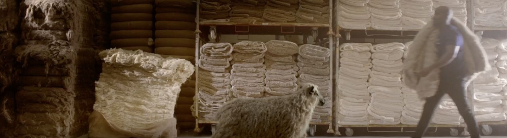 Sealy Mattresses