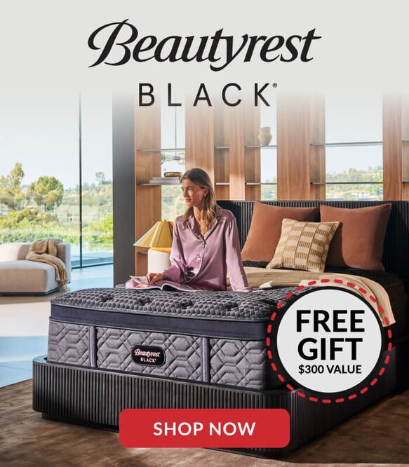 Beautyrest Black Free Gift $300 Value