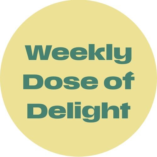 Halloween Essentials