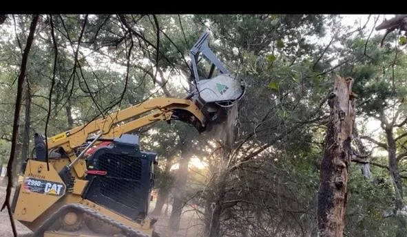 Forestry mulcher clearing mature trees and brush