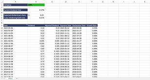 Dividend Payment Analysis Template