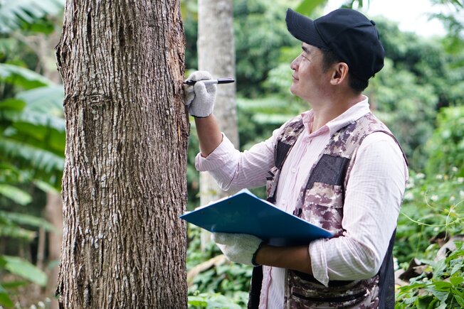 Teachers using real-world contexts in science lessons for kids