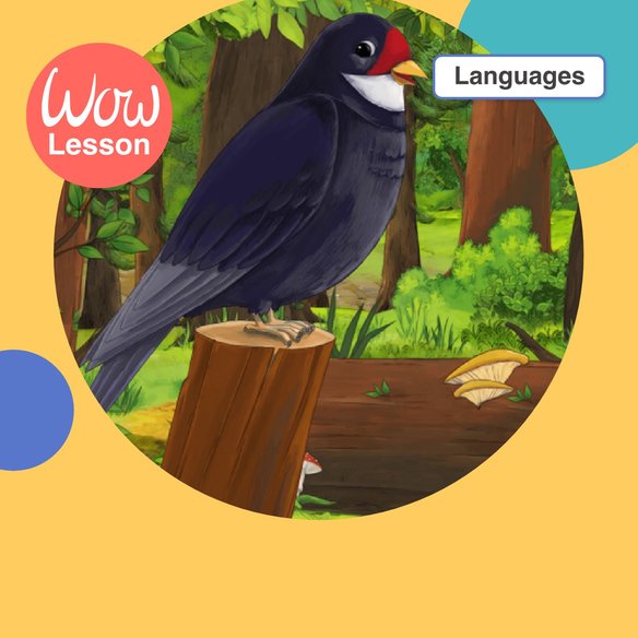 KS1 Languages EuHu WOW Lesson