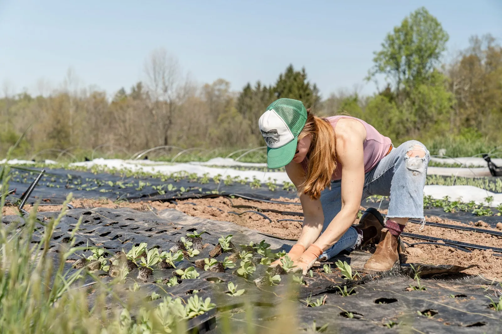 weed cover farming planting a garden