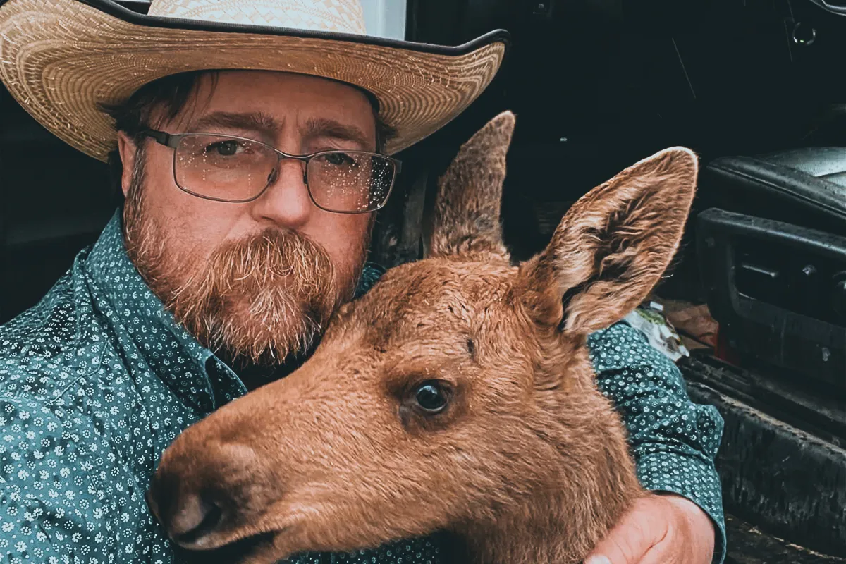 baby moose