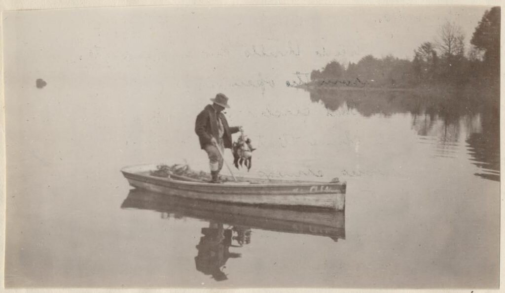Aldo Leopold free range american 