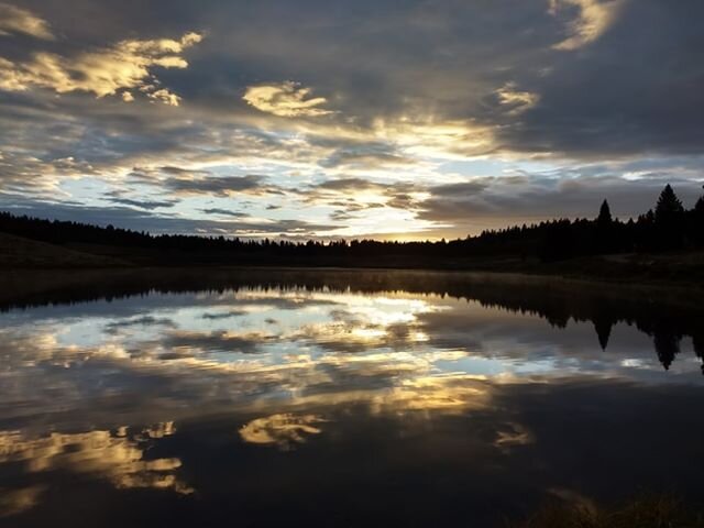 Carson National Forest
