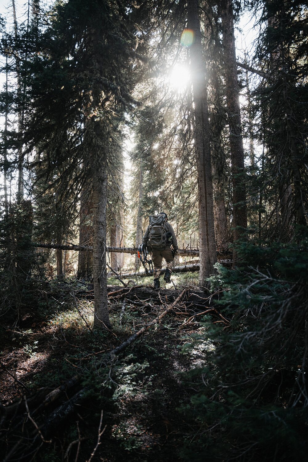 elk hunt