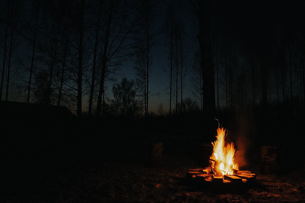 survival skills