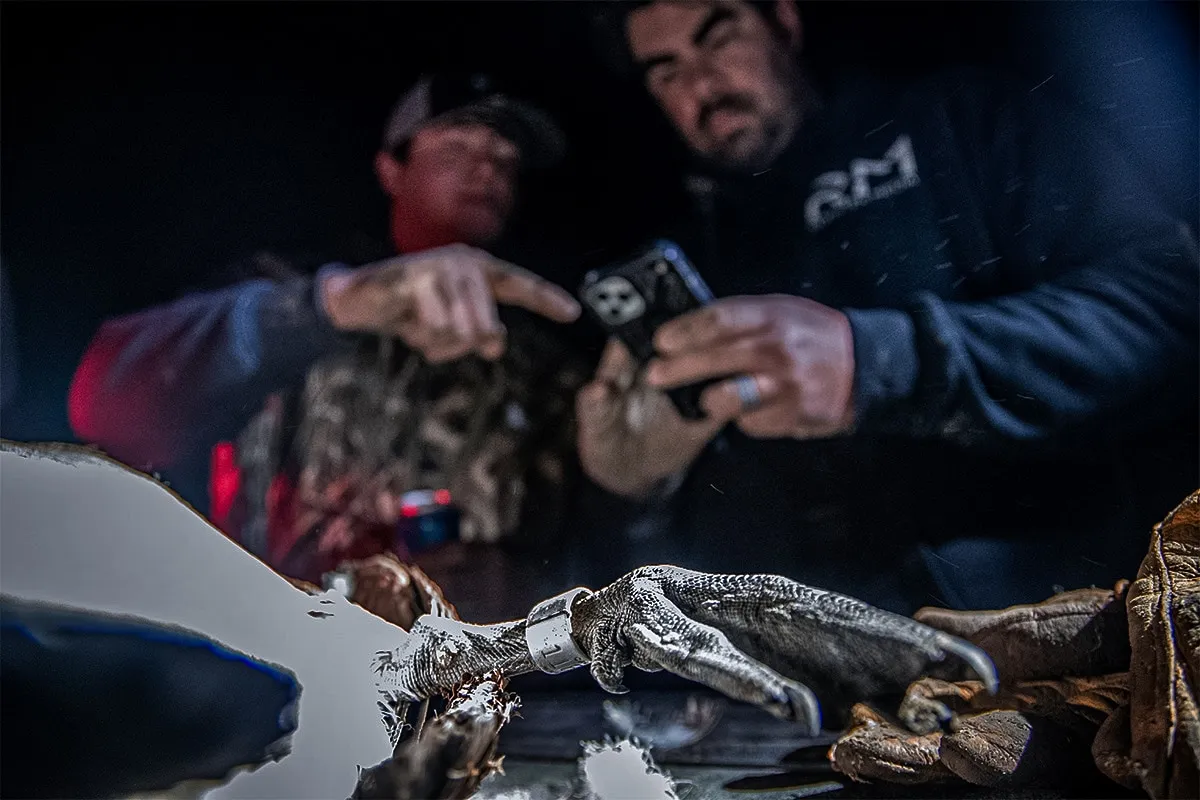 How To Be a Mentor to a New Hunter This Waterfowl Season