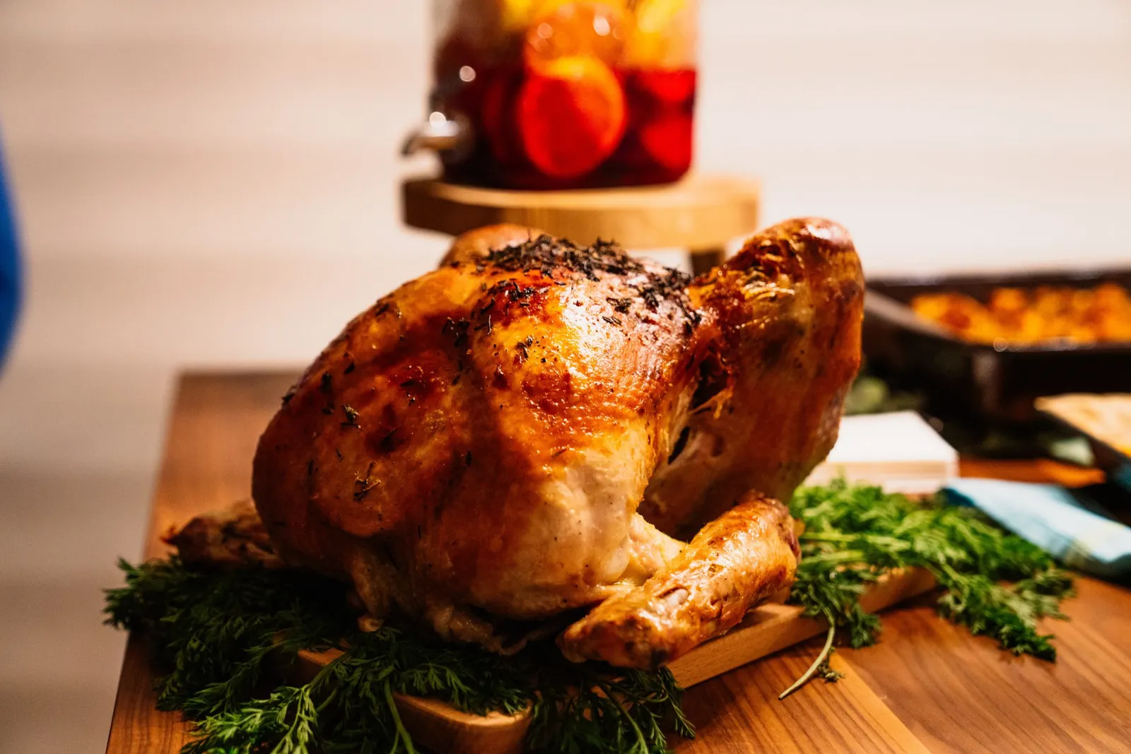 wild turkey, thanksgiving