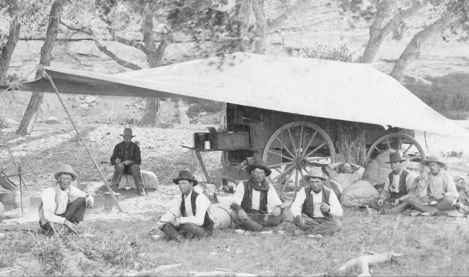 chuck wagon free range american