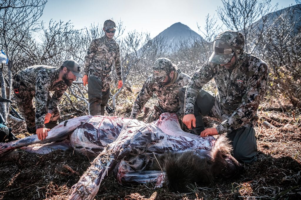 alaska bear hunt