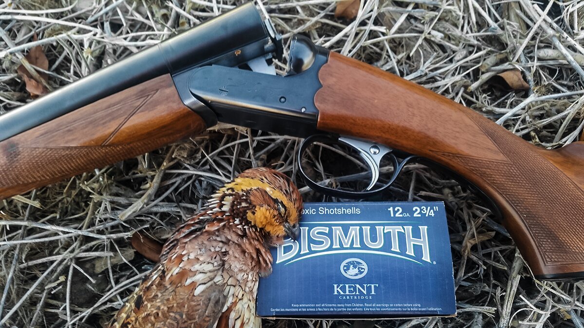 12 gauge shotgun