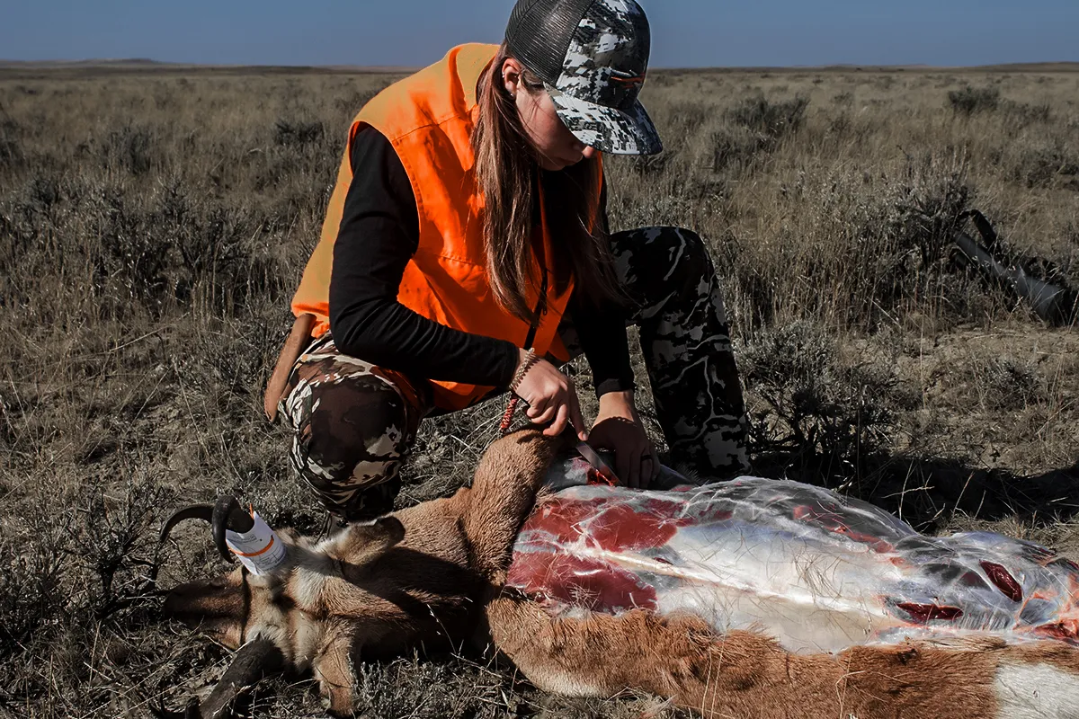 pronghorn antelope hunt