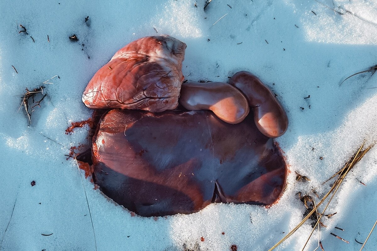 PFAS in organs forever chemicals