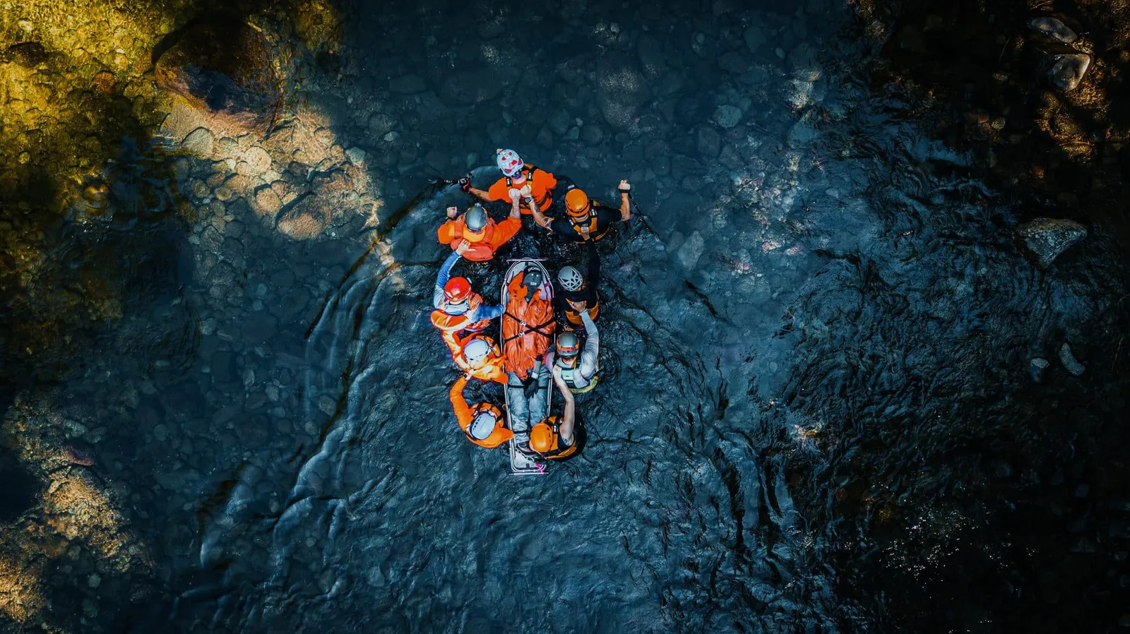 wilderness medicine