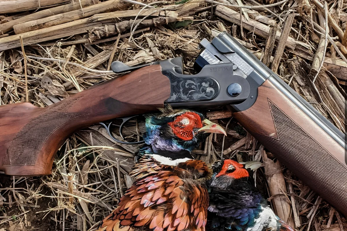 Beretta’s new Ultraleggero (“Ultralight:) is a good example of continuing innovation in Over Unders. The steel frame has been skeletonized to save weight, and 3-D printed plastic inserts cover the gaps. Consumers will be able to order their own custom inserts with any design they choose printed onto it.