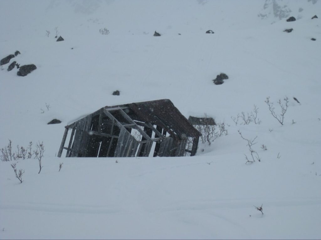 snowshoe alaska