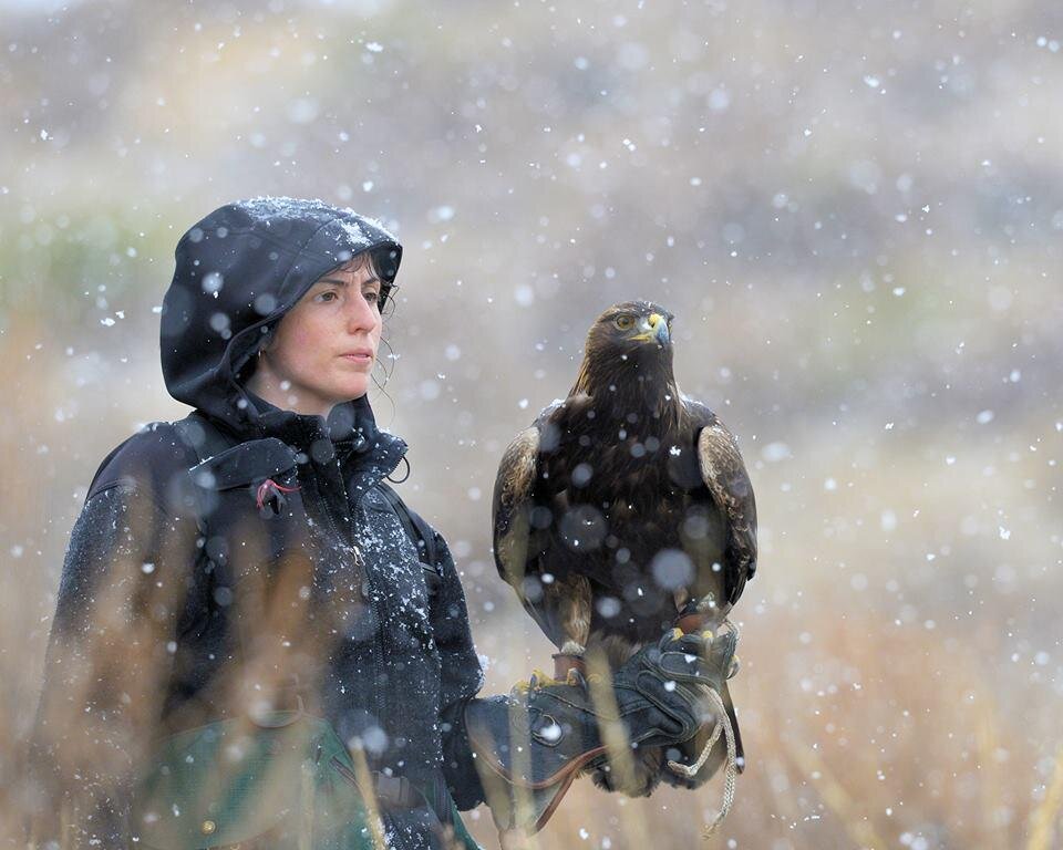 mongolia