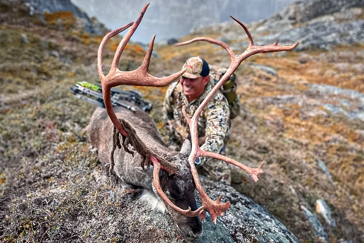 justin lee greenland