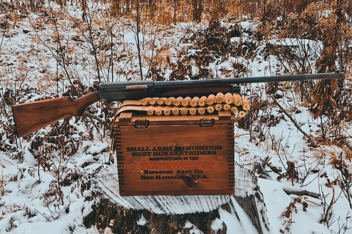 Winchester shotgun