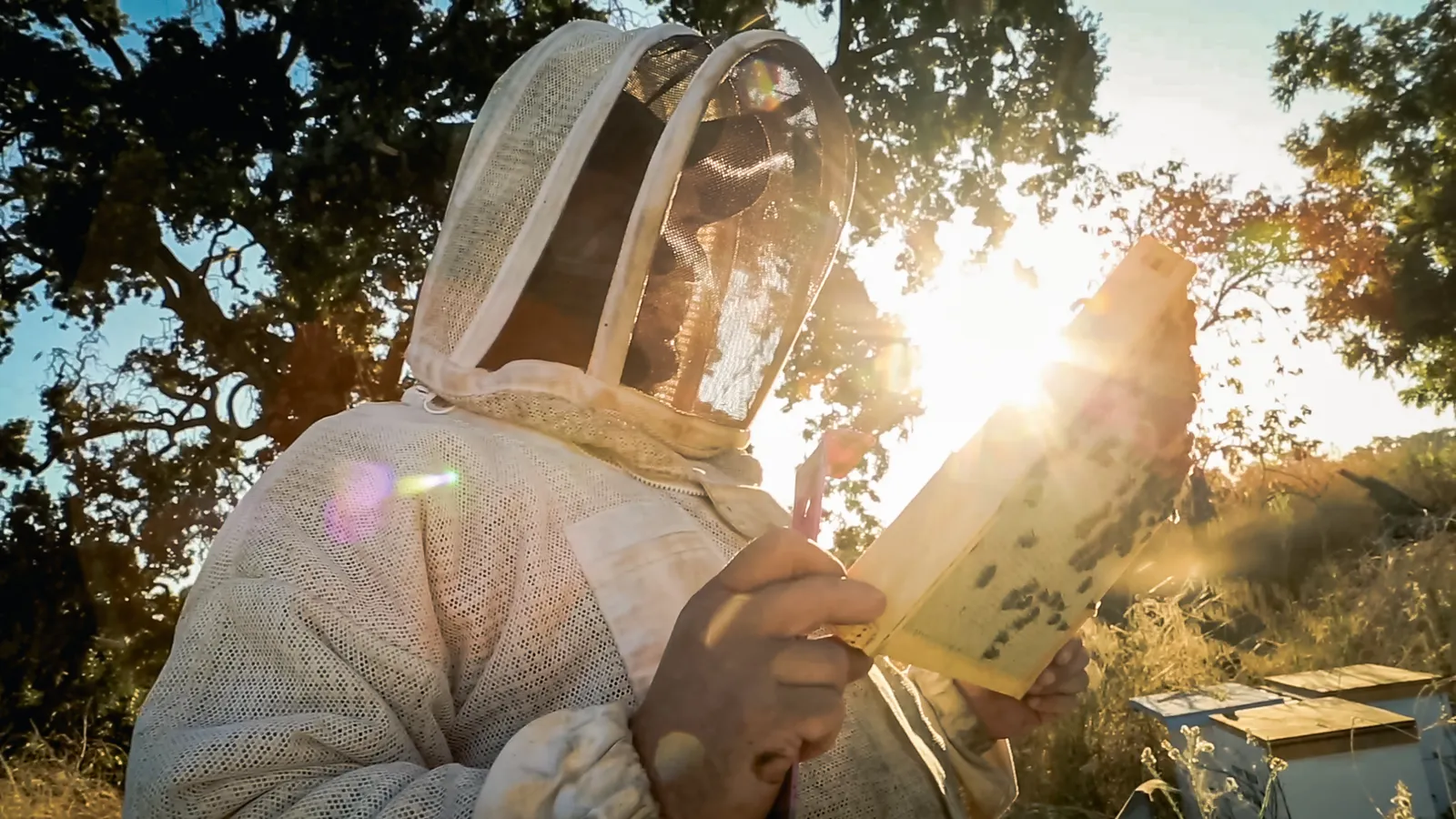 beekeeper