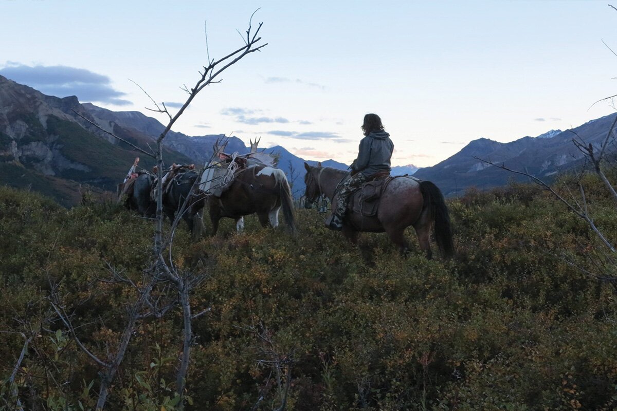 moose hunt in ak