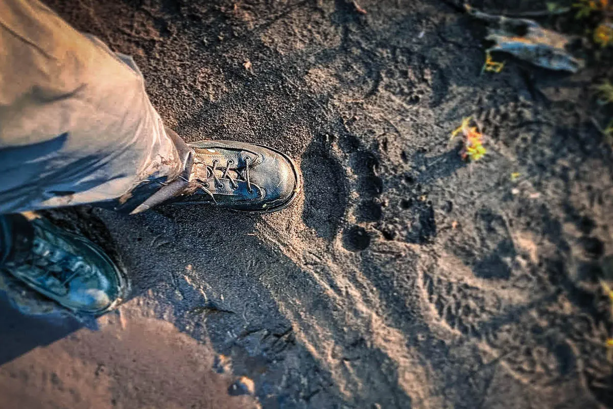 fly fishing boots