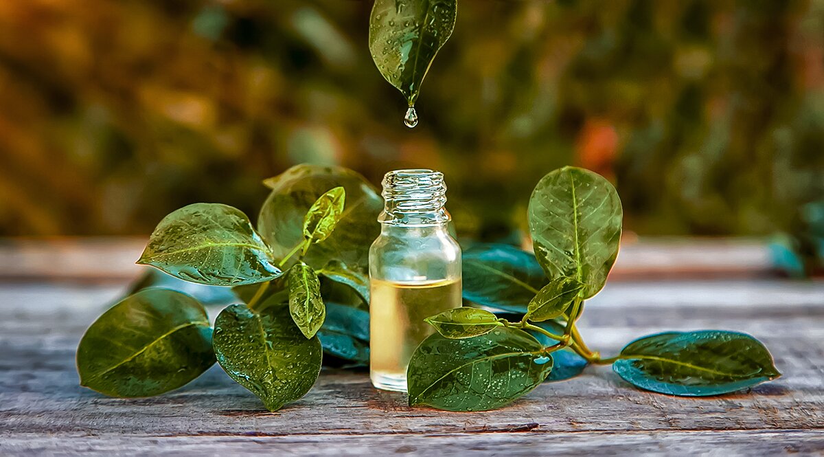 natural antiseptics