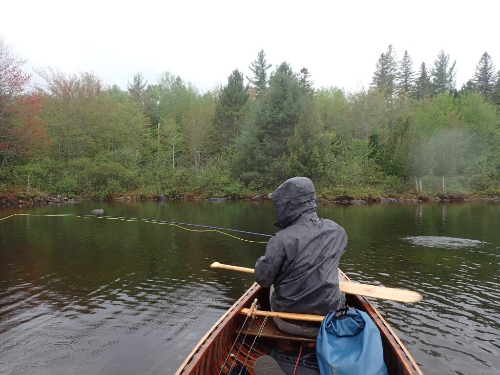fishing Pond in the River brook trout