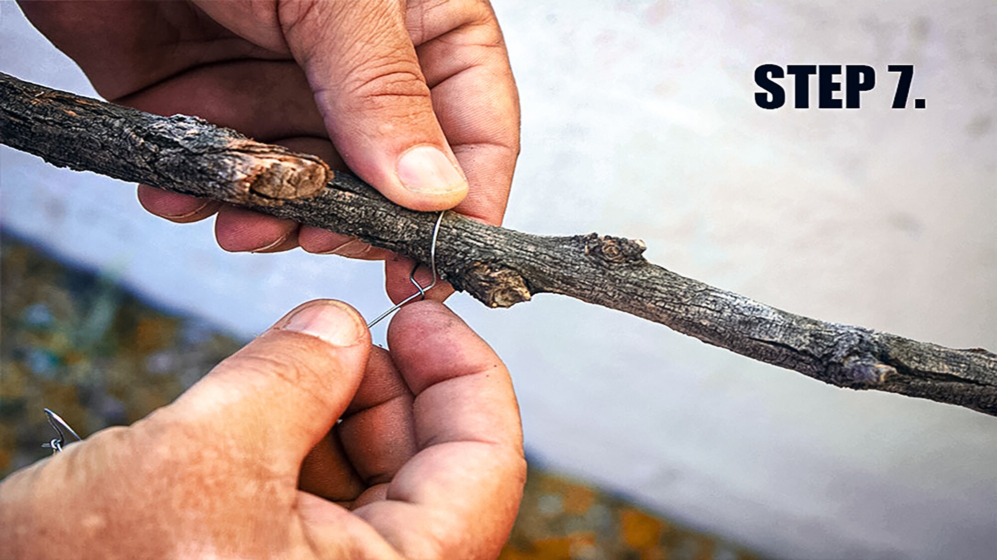 tie to branch