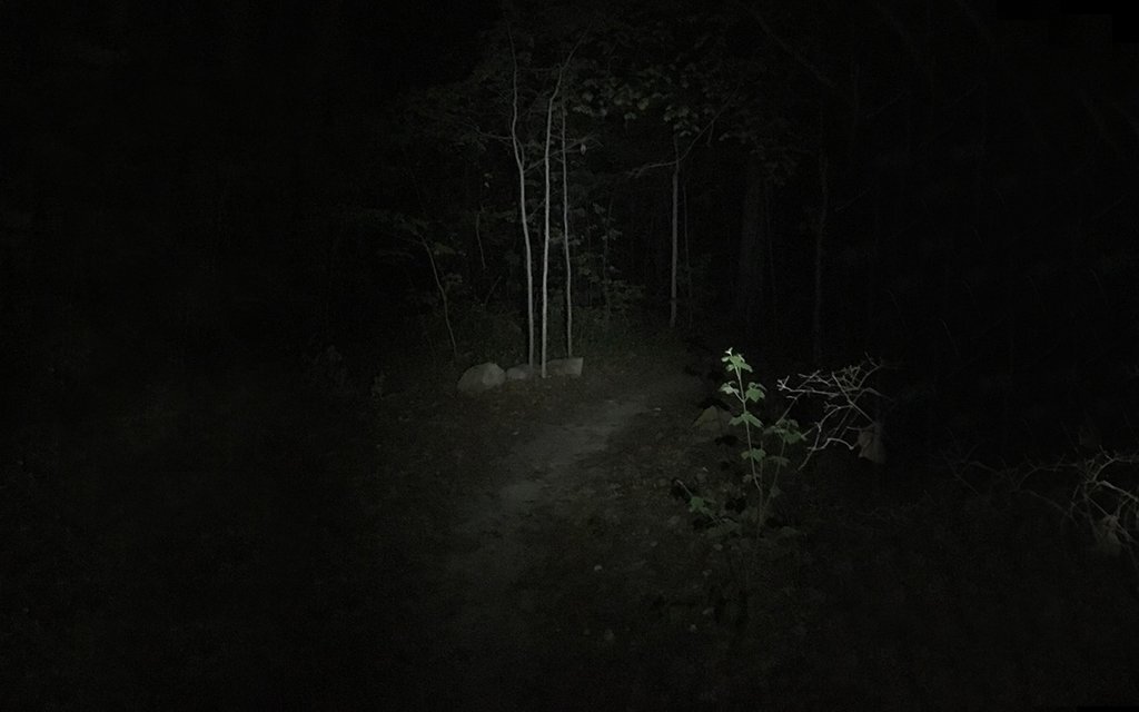 Black Diamond light