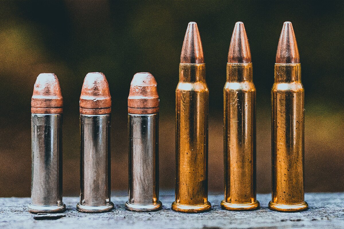 17 HMR vs. .22 LR