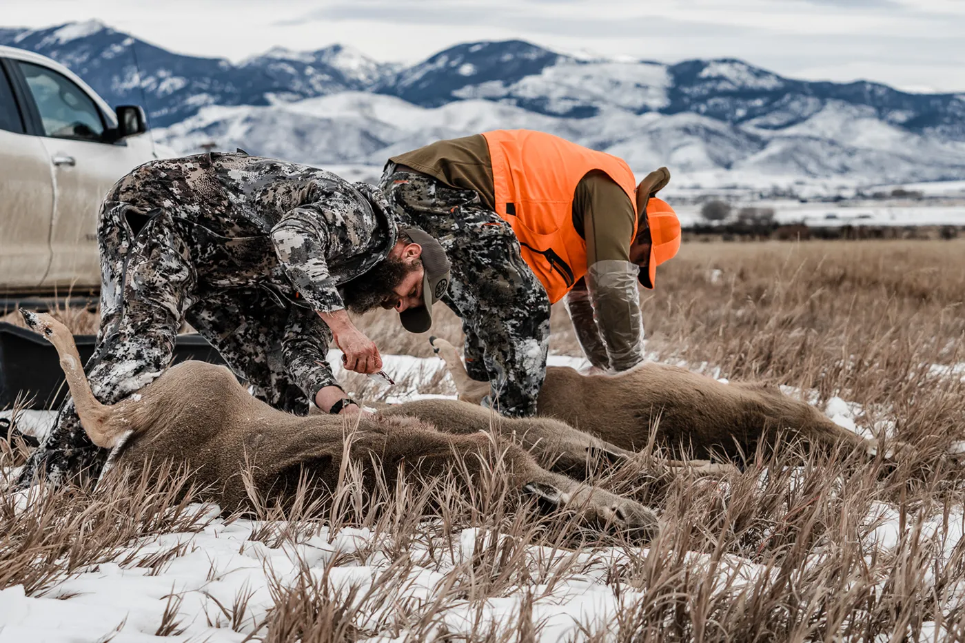 field dressing a deer