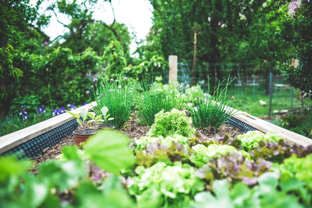 garden box needs thinning follow the gardener's checklist bro