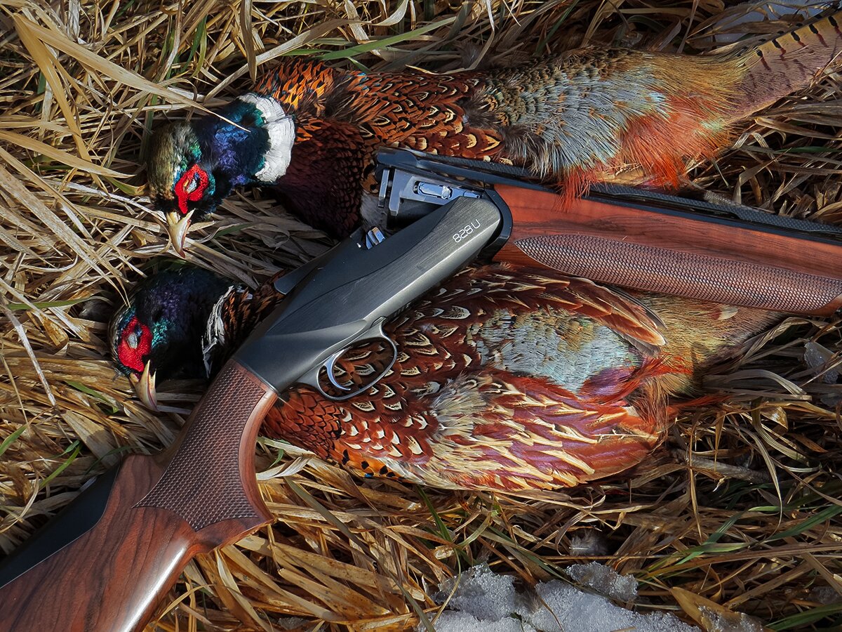 break action shotgun