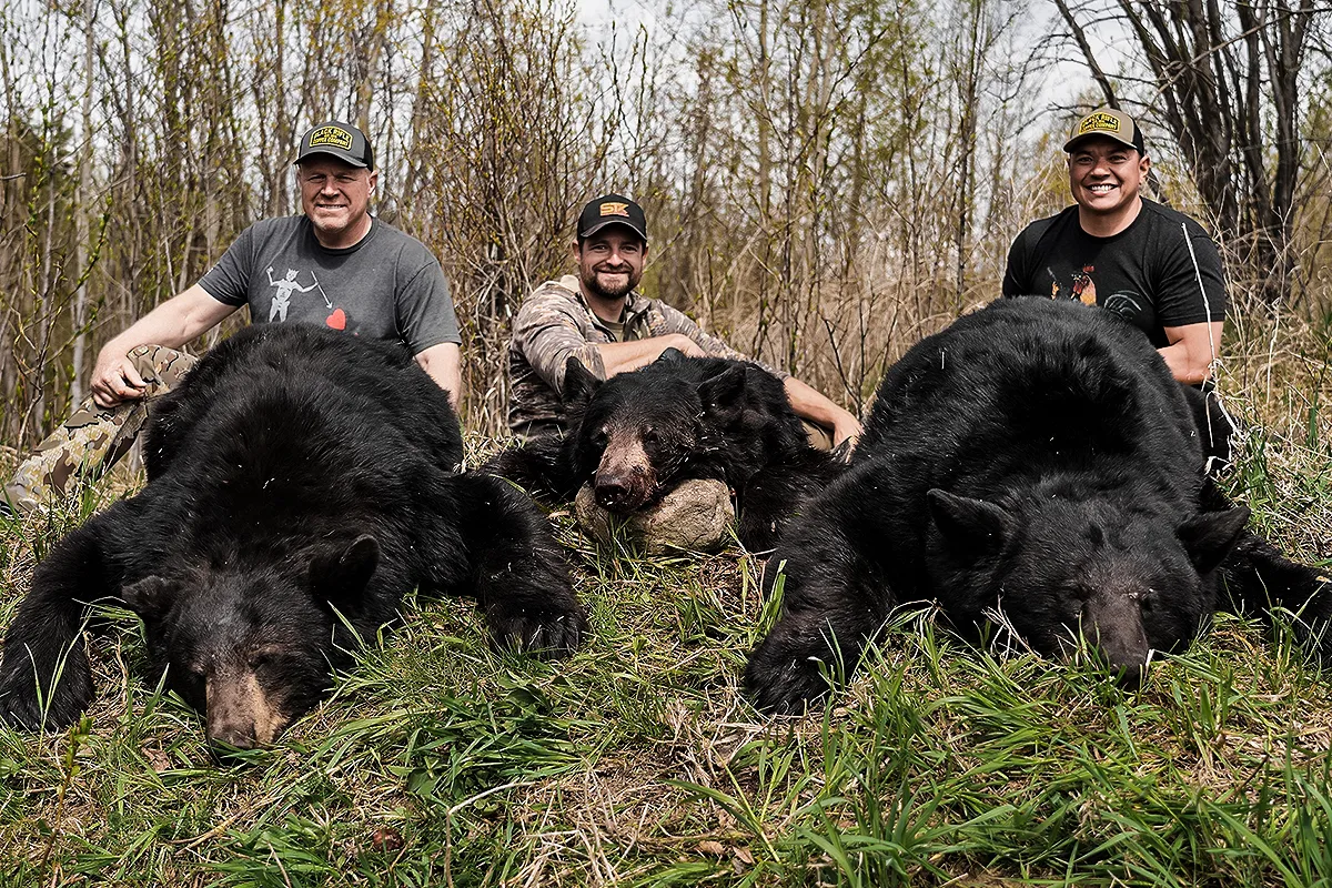 alberta bear hunt