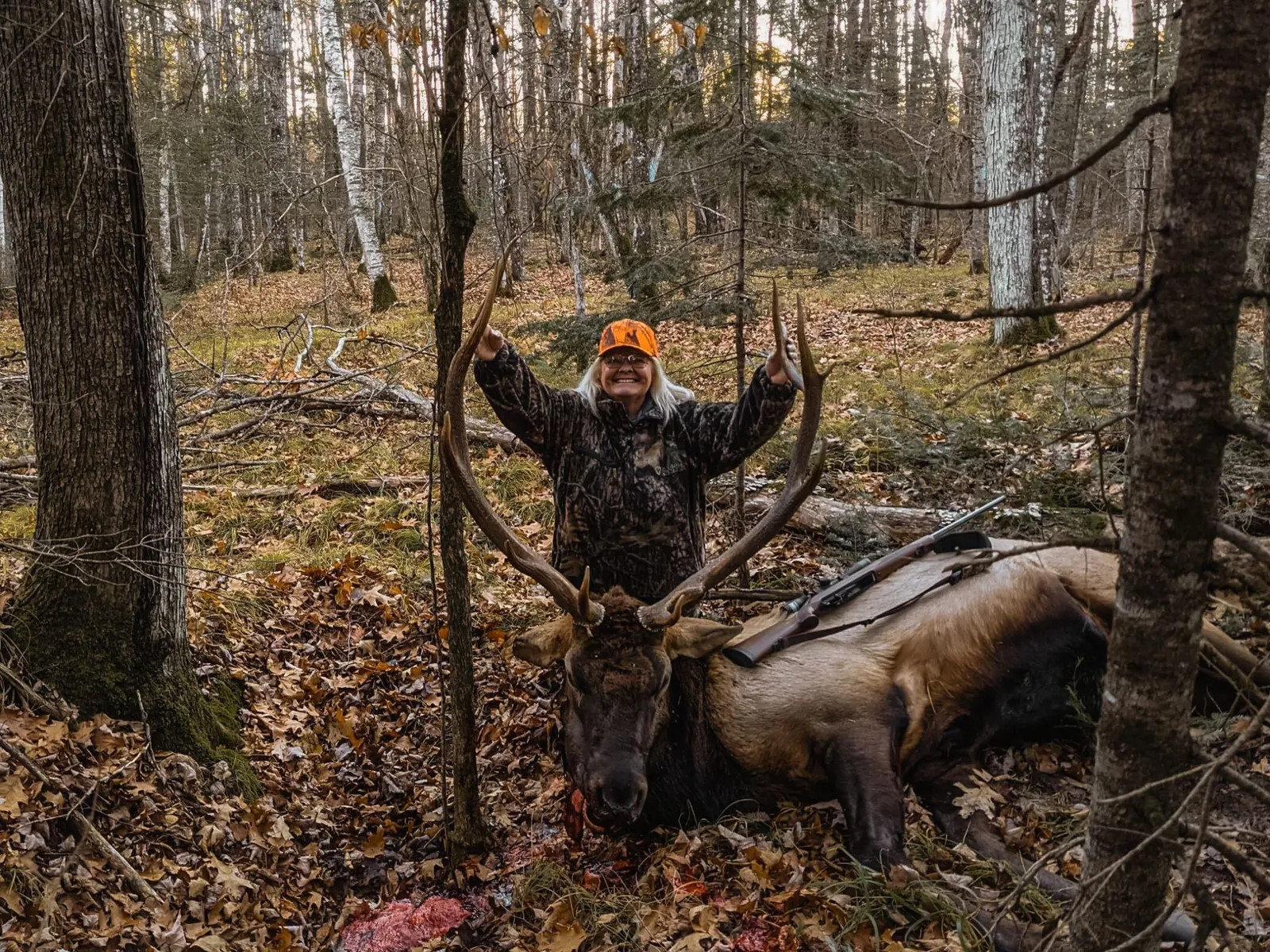 wisconsin elk