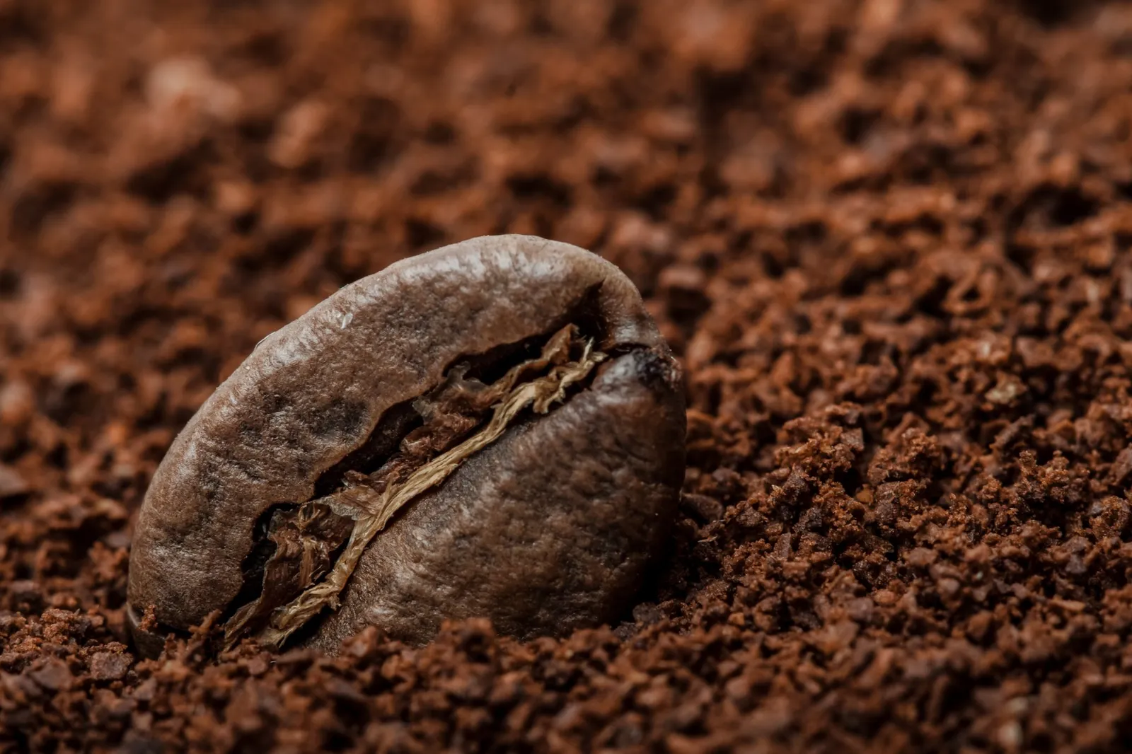 coffee grounds