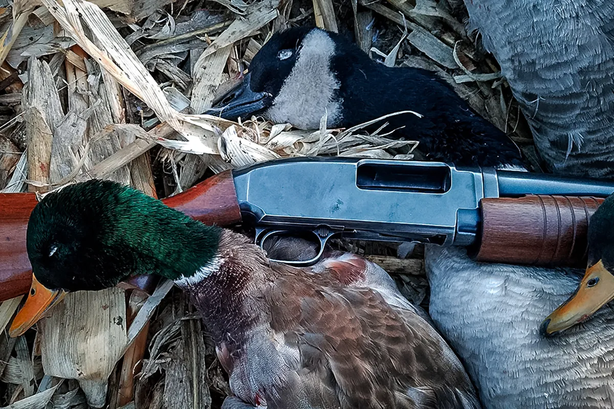 The 12 Gauge Shotgun: Do You Really Need Anything Else?