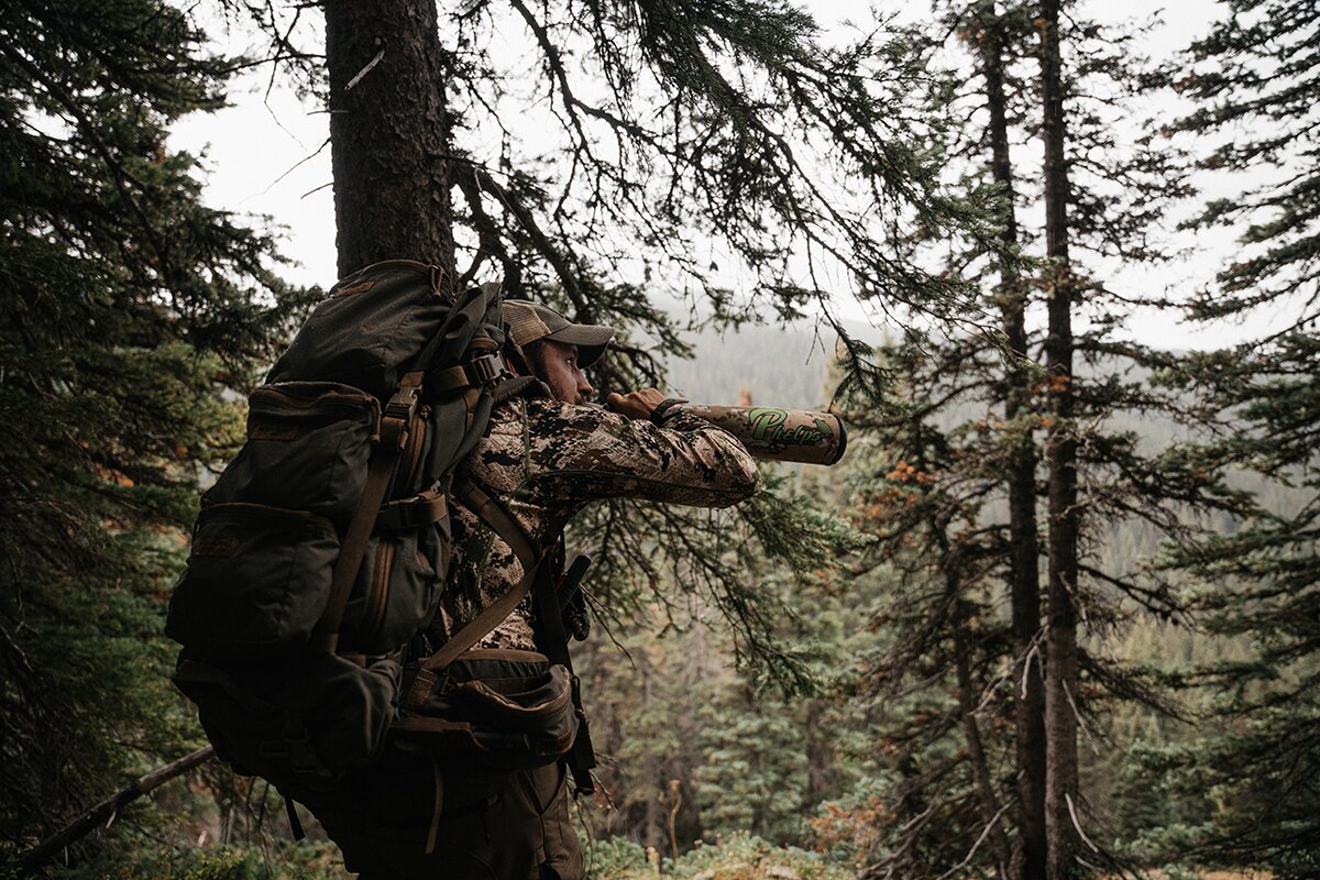 elk hunt